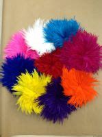 South Africa Ostrich Feathers, South African Ostrich Feathers ...