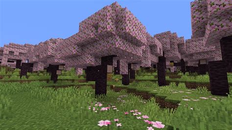 Minecraft adds new cherry blossom trees and biome to 1.20 update - Dexerto