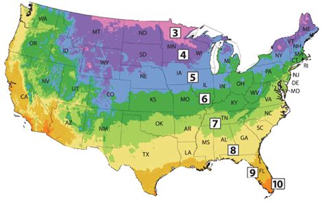 Plant Zone Map Of Us - Viole Jesselyn