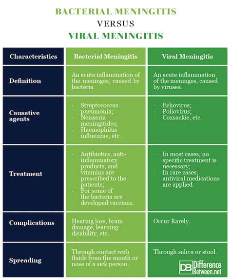 Difference Between Bacterial and Viral Meningitis | Difference Between