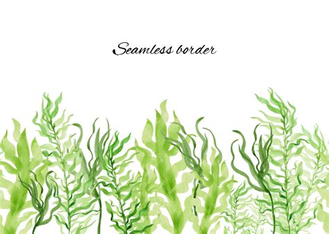 Premium Vector | Watercolor seamless border with seaweed