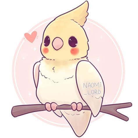 Kawaii Cockatiel Drawing