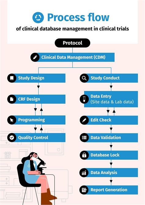 Process Flow Diagram | Free Infographic Template - Piktochart