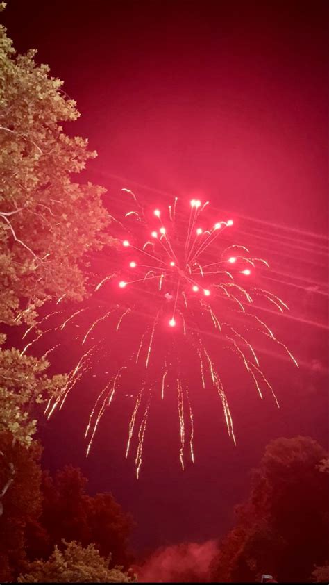 firework night fair tree neon in 2023 | Fireworks, Outdoor, Celestial