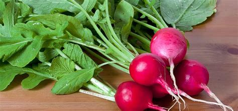 10 Amazing Health Benefits Of Radish Leaves | Health benefits of ...