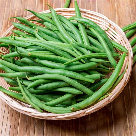 Harvester Bush Bean Seeds - 1 Lb - Non-GMO, Heirloom Green Bean Seeds ...