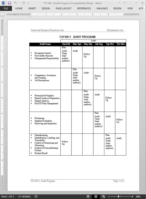 Internal Audit Programme Template Database