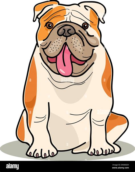 cartoon illustration of purebred english bulldog Stock Vector Image ...