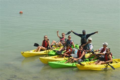 Eastern Mangroves Kayaking Tour (2hours)