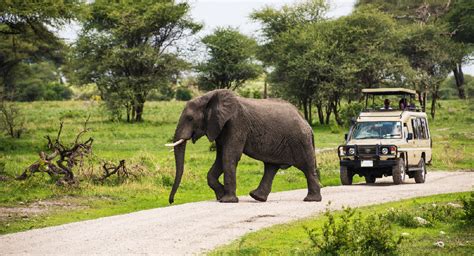 4 Days Tanzania Wildlife Safari - Ultimate Serengeti