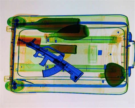 Are Packing Cubes TSA Approved? All You Need To Know About TSA’s Stance ...