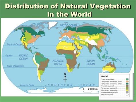 World Natural Vegetation Map