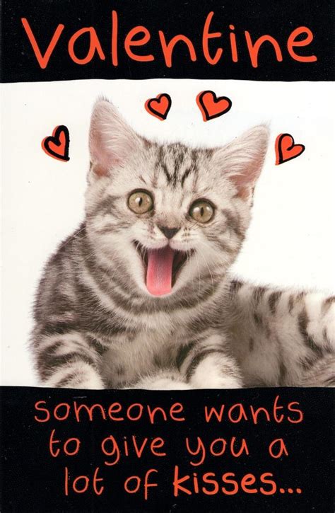 Funny Lots Of Kisses Kitten Valentine's Day Greeting Card | Cards