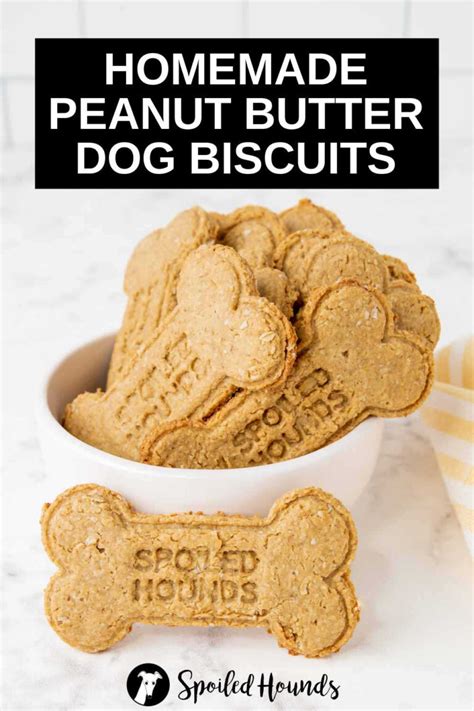 Peanut Butter Dog Biscuits Recipe - Spoiled Hounds