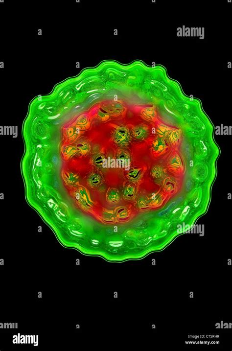 HEPATITIS D VIRUS Stock Photo - Alamy