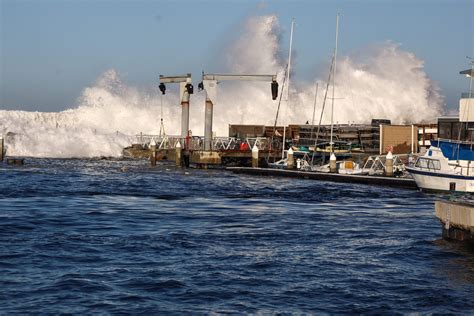 Manhattan Beach Roundhouse Aquarium invites public to join King Tide ...