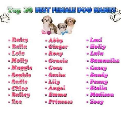 golden retriever puppy names | Cute Puppies | Bethany's stuff ...