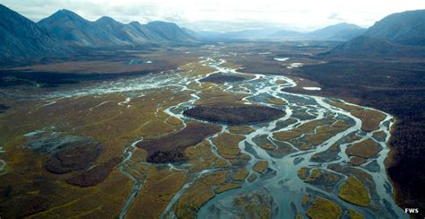 Arctic National Wildlife Refuge | Alaska National Wildlife Refuges