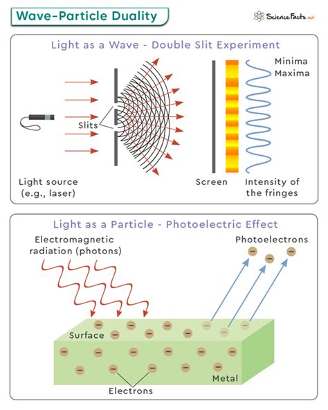 Wave-Particle Duality: Definition, Theory, and Examples