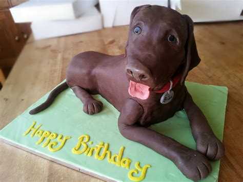 Chocolate Labrador Cake | The Great British Bake Off