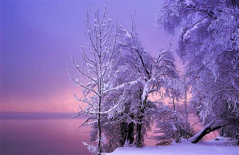 20 Breathtaking Photos Of Winter Landscapes | Bored Panda