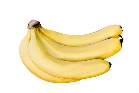 Cavendish banana - Wikipedia