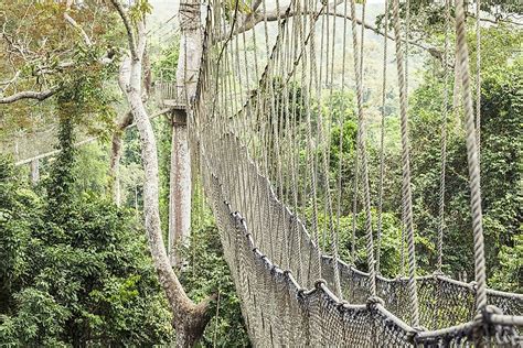 The Seven National Parks Of Ghana - WorldAtlas.com