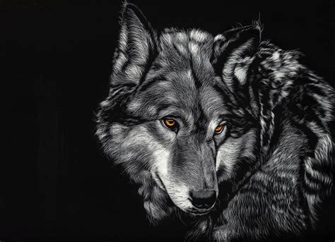 4K HD Wallpapers Wolves - Wolf Background Images