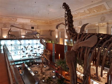 See the Dinosaurs at the National Taiwan Museum - Taipei Travel Geek