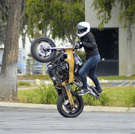 Woman Motorcycle Stunt Rider 14 Photograph by Cynthia Nunn