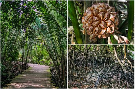 Pulau Ubin - Escape the Fast-paced City Life and Discover the Wonderful ...