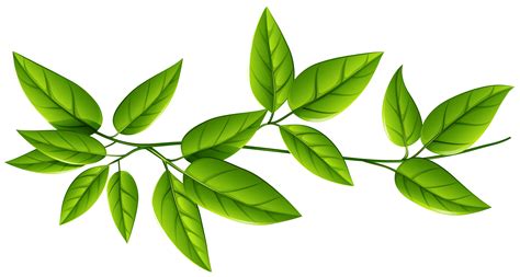 Leaf Green Clip art - green leaves png download - 5164*2760 - Free ...