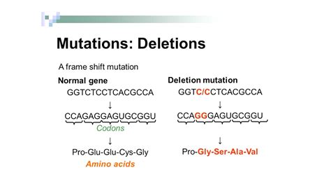 What is the effect of a deletion mutation?