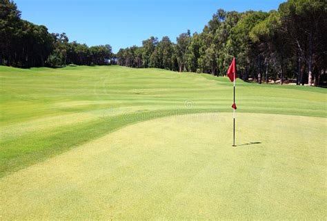 Flag on the golf course. stock image. Image of turf, tree - 21084419