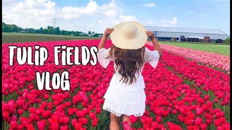 AMSTERDAM TULIP FIELDS & BELGIUM // TRAVEL VLOG - YouTube