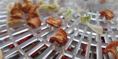 Expert-Level Food Dehydrating: Tips and Hacks for Drying All Types of Food