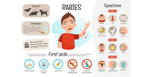 Humans With Rabies Symptoms