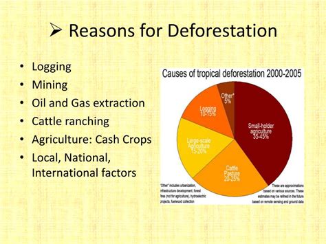 PPT - Deforestation PowerPoint Presentation, free download - ID:3775598