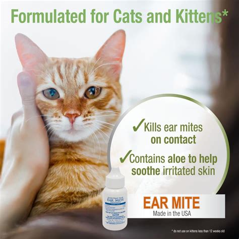 Veterinary Treatment For Ear Mites In Cats