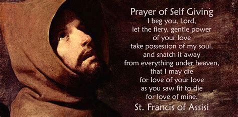 Little Plant of St. Francis: St. Francis of Assisi Quote