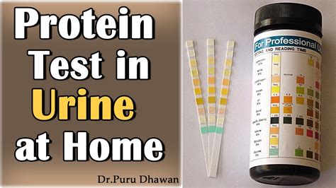 How To Detect Protein In Urine - Rowwhole3