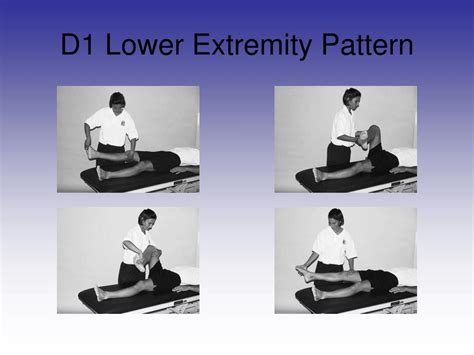 PPT - Chapter 15: PNF and Other Soft Tissue Mobilization Techniques in ...