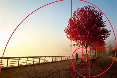 How To Use the Golden Ratio To Improve Your Photography - Apogee Photo ...