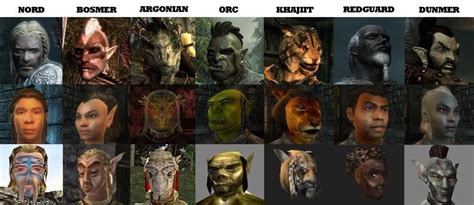 Evolution of elder scrolls races (From morrowind to Skyrim) : r/gaming