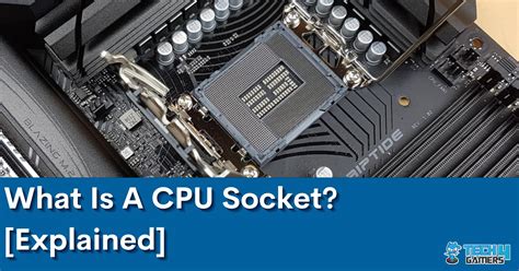 What Is A CPU Socket? [Explained]