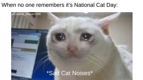 Happy National Cat Day! : r/memes