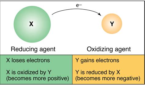 Which Statement Best Describes an Oxidation Reduction Reaction