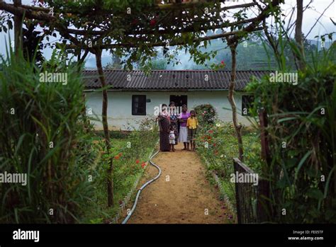 Tea estate in Nuwara Eliya District, Sri Lanka Stock Photo - Alamy