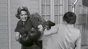 Watch The Donna Reed Show Online | Season 1 (1958) | TV Guide