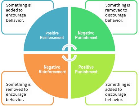 Positive Reinforcement: What is It and How Does it Work?